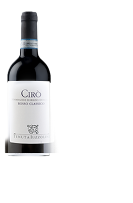 ANTIPASTO IDEE REGALO